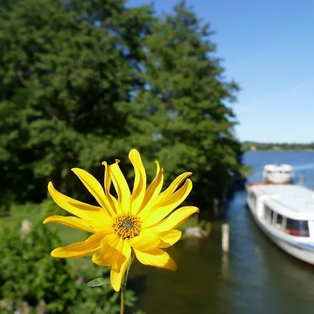 Szálloda Seehotel Diekseepark Superior