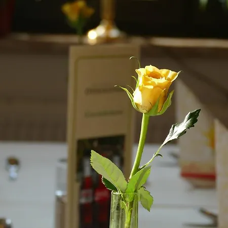 Seehotel Diekseepark Superior Malente