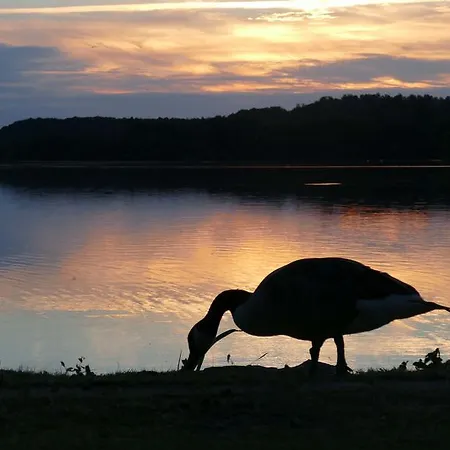 Seehotel Diekseepark Superior 3* Malente