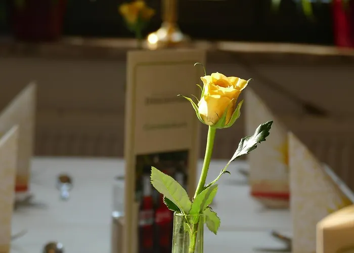 Seehotel Diekseepark Superior Malente